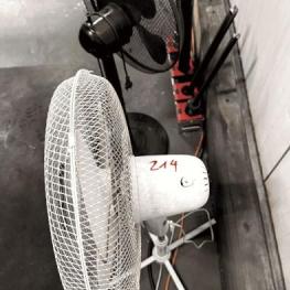 Pos. 214 2 pedestal fans